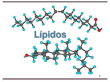 Estructura de lipidos esteroides