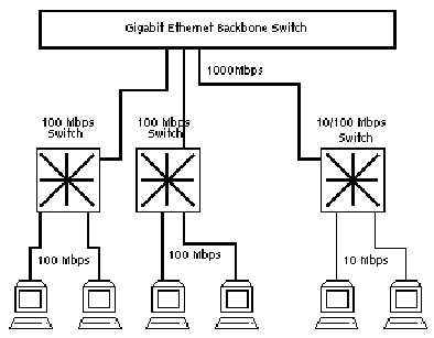 Ethernet Backbone on Gigabit Ethernet    Monografias Com