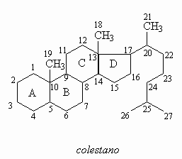 Estructura quimica de los esteroides anabolicos