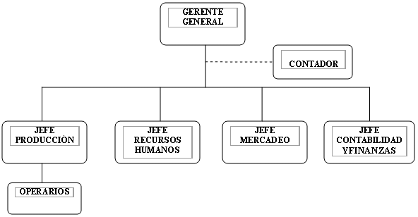 estructura organizacional de una. ESTRUCTURA ORGANIZACIONAL