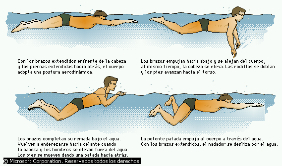 estilos de natacion blueprint