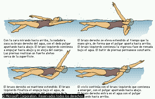 Resultado de imagen de imagenes de nadadores nadando espalda