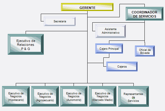 estructura organizacional de una. 1.12 Estructura organizacional