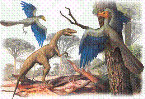 Resultado de imagen de origen aves