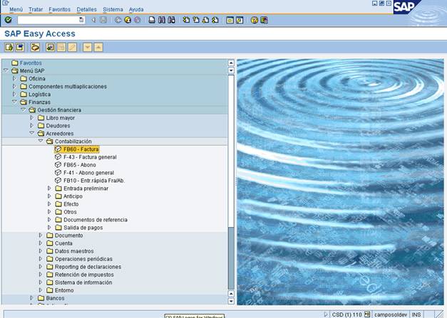 Sap Business Objects  -  5