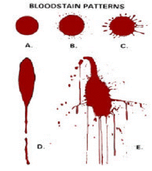 Resultado de imagen para diferentes tipos de tests para la detección de manchas de sangre