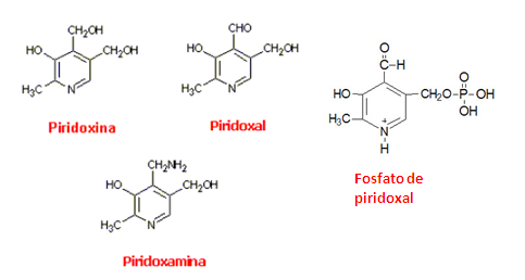 Hormonas esteroidales sintesis