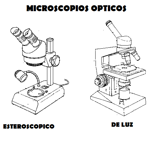 Microscopio y sus partes facil de dibujar - Imagui