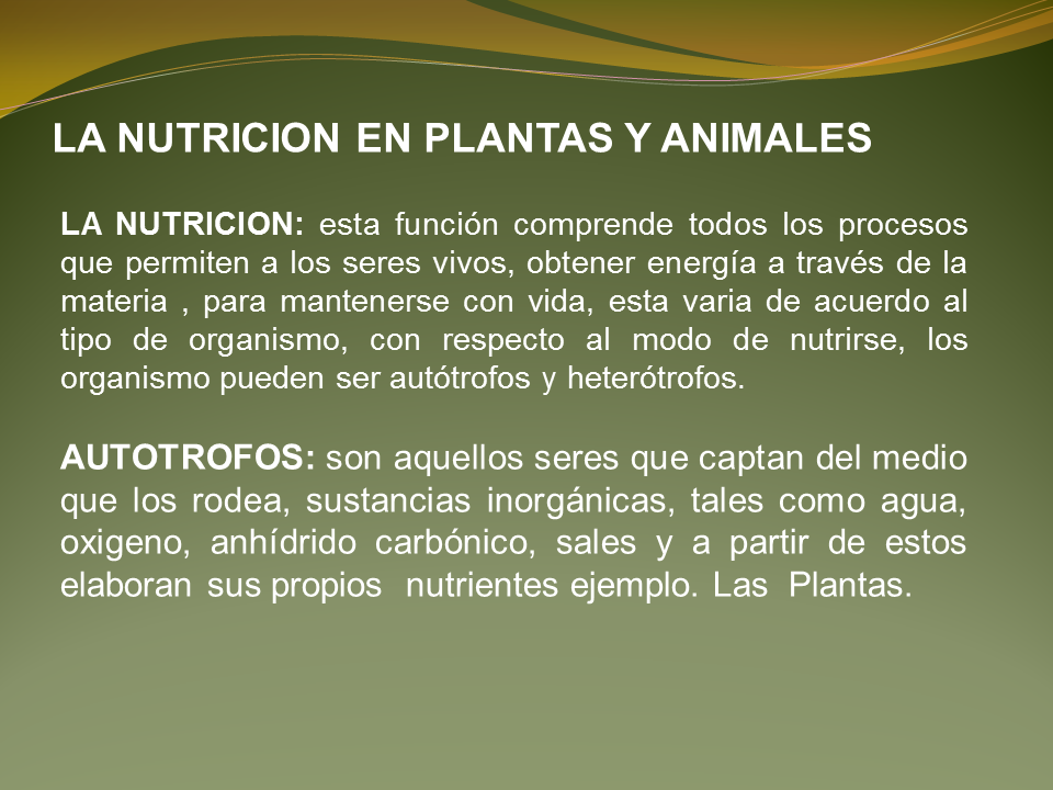 Alimentacion Plantas y Animales