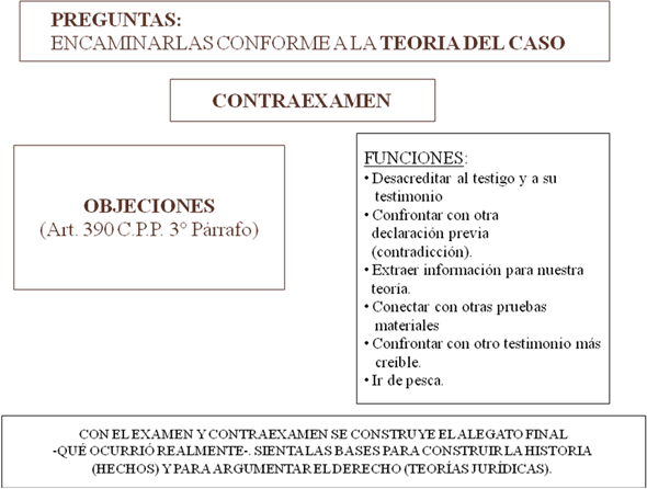 Técnicas de litigación en el juicio oral y público (Paraguay) (página 3)