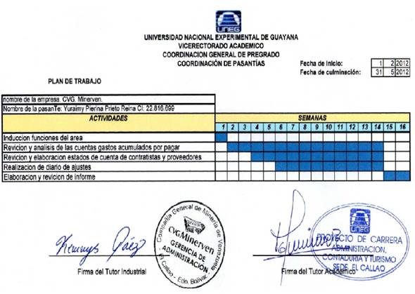 Analisis De Los Gastos Acumulados Por Pagar De La Empresa Cvg Minerven C A Monografias Com
