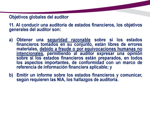 Calvo Mathis Ananiver NIA 200 Objetivos globales del auditor independiente y realizacion de la  auditoria