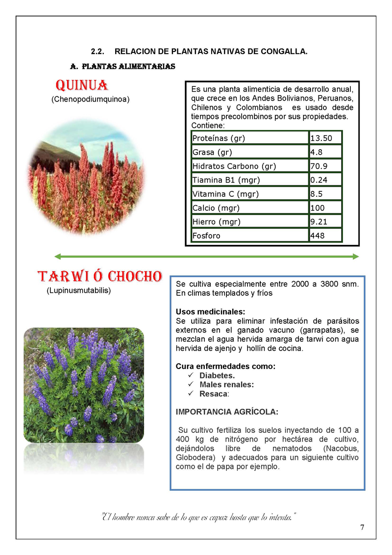 Plantas Nativas De Huancavelica Monografias Com