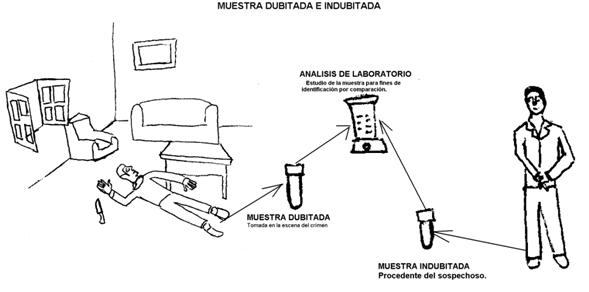 Bioseguridad en medicina forense - Monografias.com
