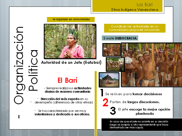 Los Bari Etnia Indigena Venezolana Monografias Com
