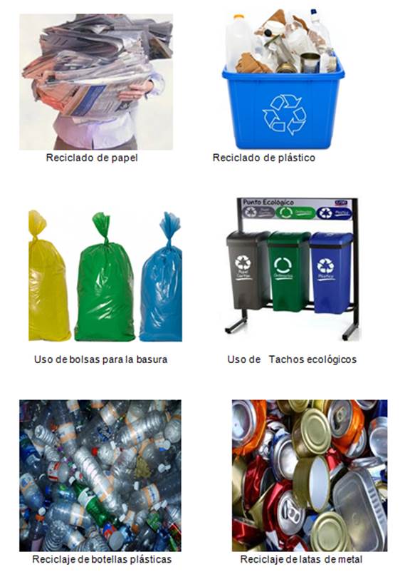 Mañana parálisis Escribir Reciclaje: Proyecto de innovación con enfoque ambiental