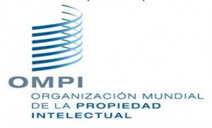 Aspectos básicos del derecho de propiedad intelectual en el Perú (página 2)