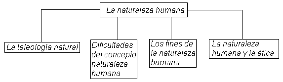 La Naturaleza Humana (página 2)