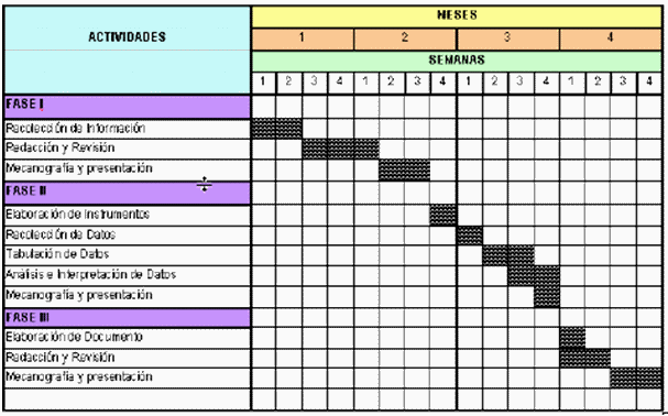 El proceso organizativo y la organización (página 4 