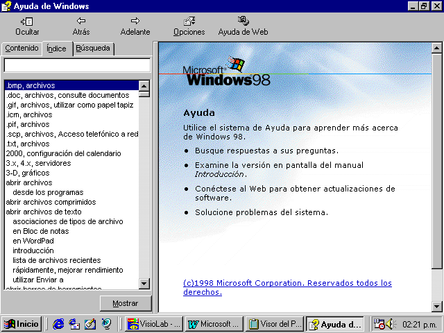 Ver a través de termómetro arma Windows 98