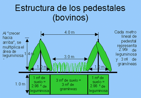 Sistema Intensivo De Produccion De Pastos Con Pedestales Pagina 2