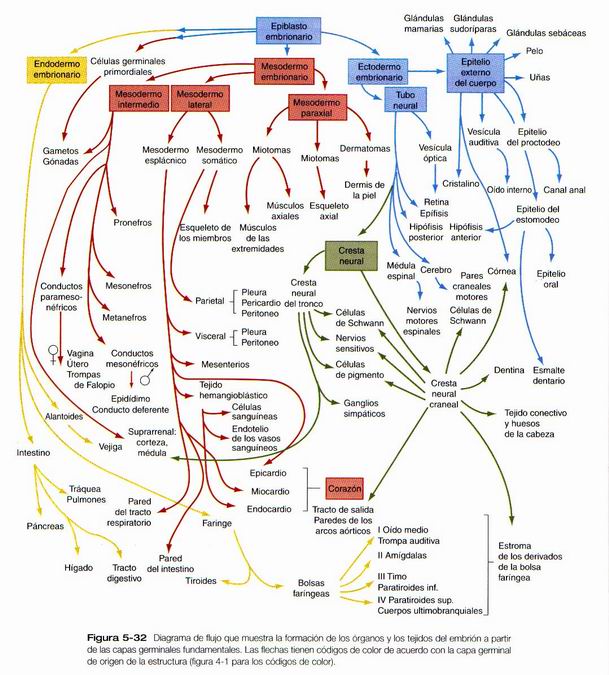 an introduction to human environment geography local dynamics and