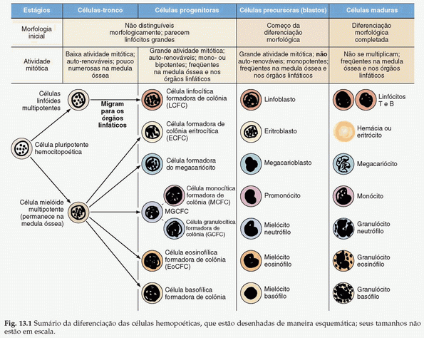 read everyday information the evolution of information seeking