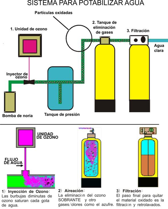 Eliminación de E. coli con un ozonizador de agua