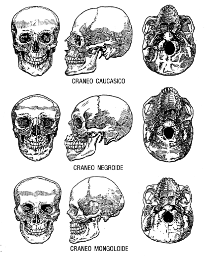 Resultado de imagen de En 1968 se descubrieron en Dordoña el cráneo y el esqueleto de uno de nuestros antepasados, al que se denominó Hombre de Cro-Magnon.  H