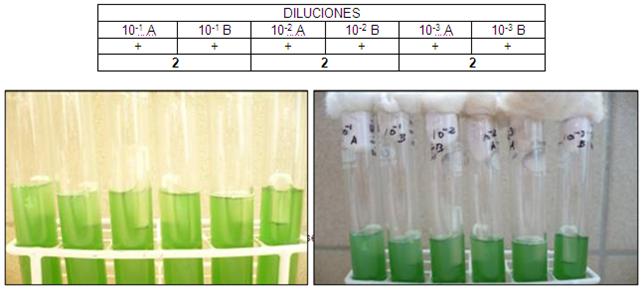 Resultado de imagen para recuento de coliformes en agua