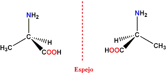 Monografias.com