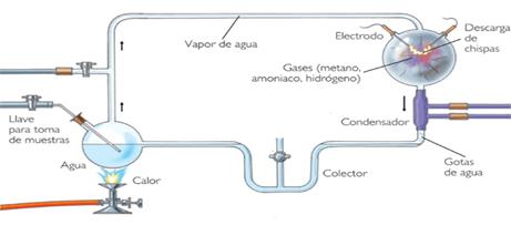 Resultado de imagen de experimento caldo primitivo