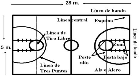 Cancha de basquetbol con sus medidas y nombres - Imagui