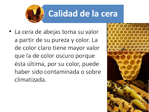 ecocolmena - Términos usados normalmente en apicultura (según FAO). Abeja  melífera Especie de abeja que pertenece al género Apis Son abejas sociales  que almacenan grandes cantidades de miel. Agentes Las abejas se
