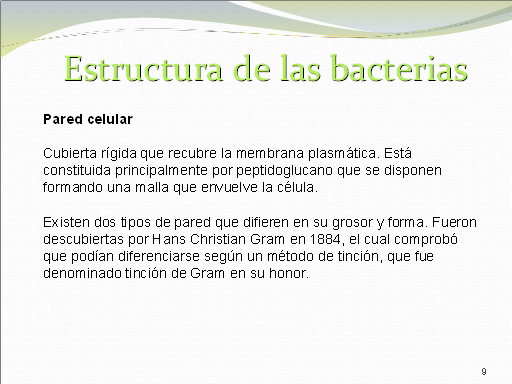 Bacterias Definicion Y Clases Monografias Com